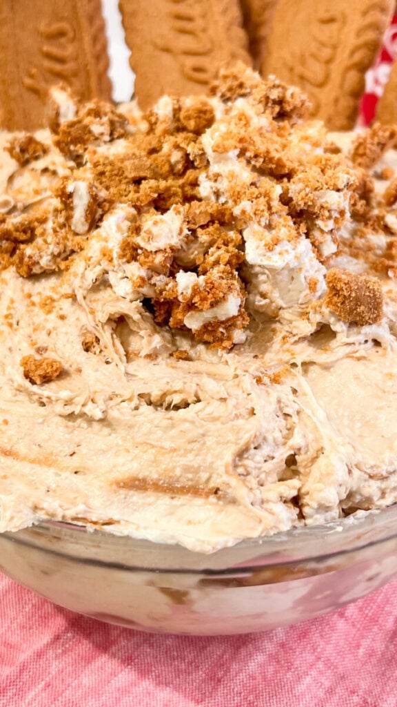 IMG_7624-576x1024 Cookie Butter Cheesecake Dip  