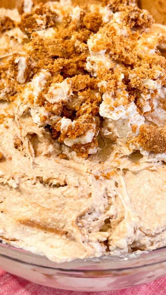  IMG_7642-576x1024 Cookie Butter Cheesecake Dip  