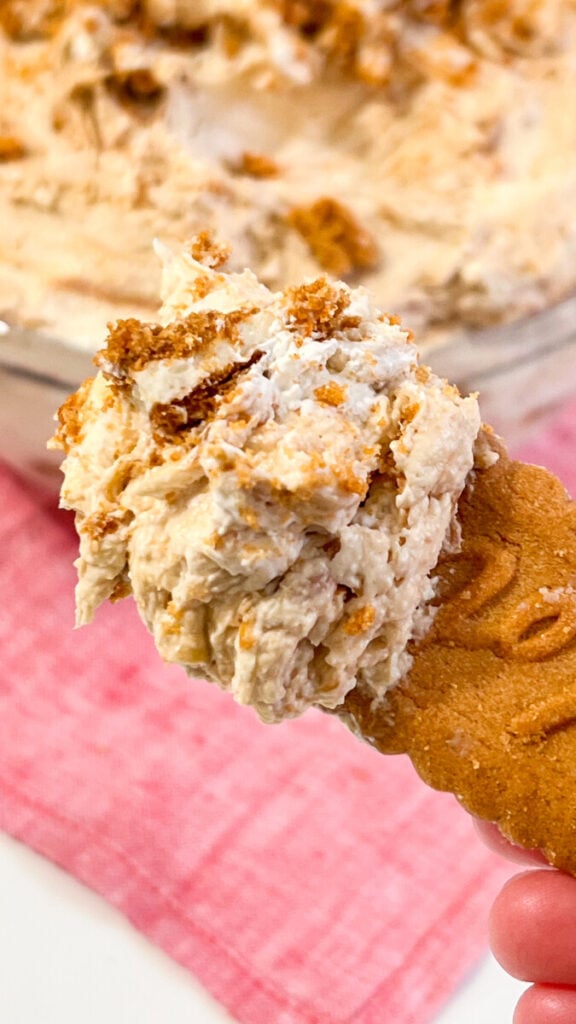  IMG_7652-576x1024 Cookie Butter Cheesecake Dip  