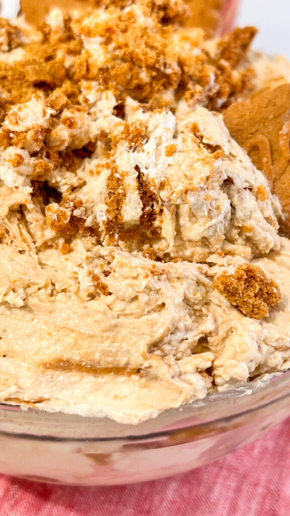  IMG_7661-576x1024 Cookie Butter Cheesecake Dip  