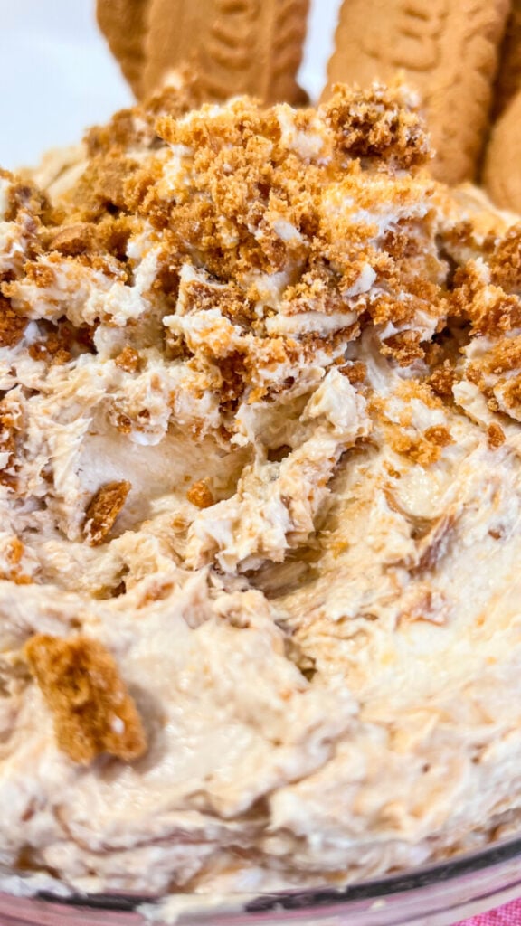 IMG_7666-576x1024 Cookie Butter Cheesecake Dip  