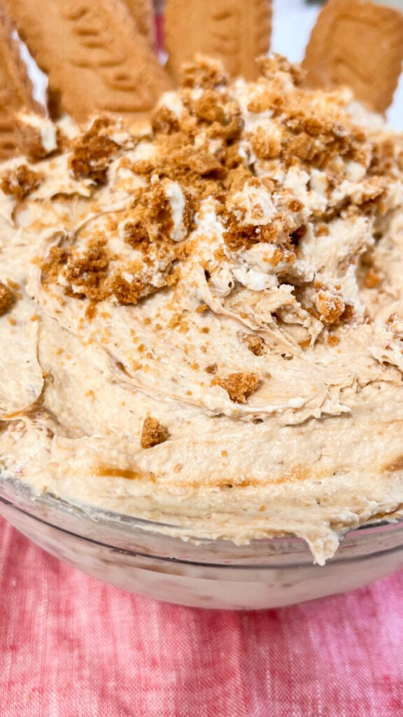  IMG_7667-576x1024 Cookie Butter Cheesecake Dip  