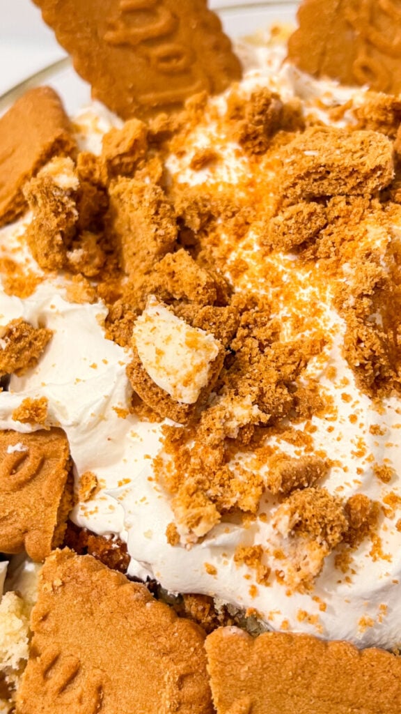  IMG_7703-576x1024 Cookie Butter Trifle  