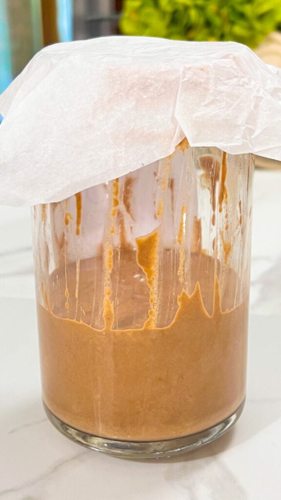  IMG_7820-576x1024 Chocolate Sourdough Starter  