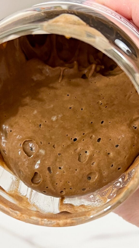  IMG_7842-576x1024 Chocolate Sourdough Starter  