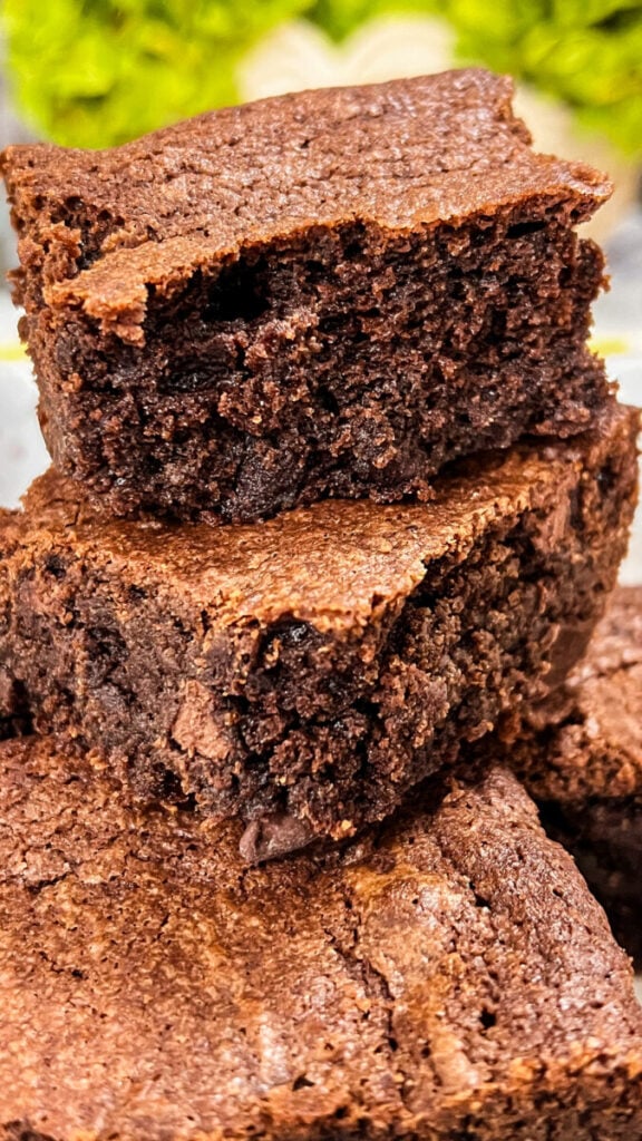  IMG_8136-576x1024 Sourdough Discard Brownies  