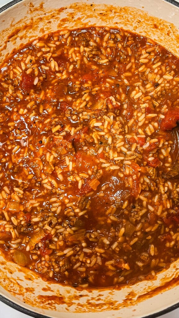  IMG_8267_jpg-576x1024 Instant Pot Spanish Rice  