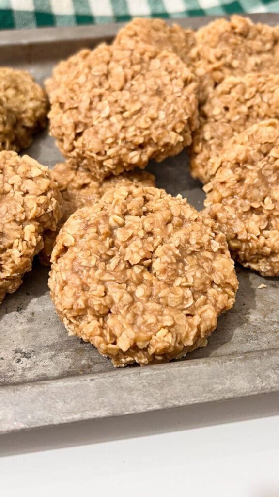  IMG_8336-576x1024 Biscoff Cookie Butter No Bake Cookies  