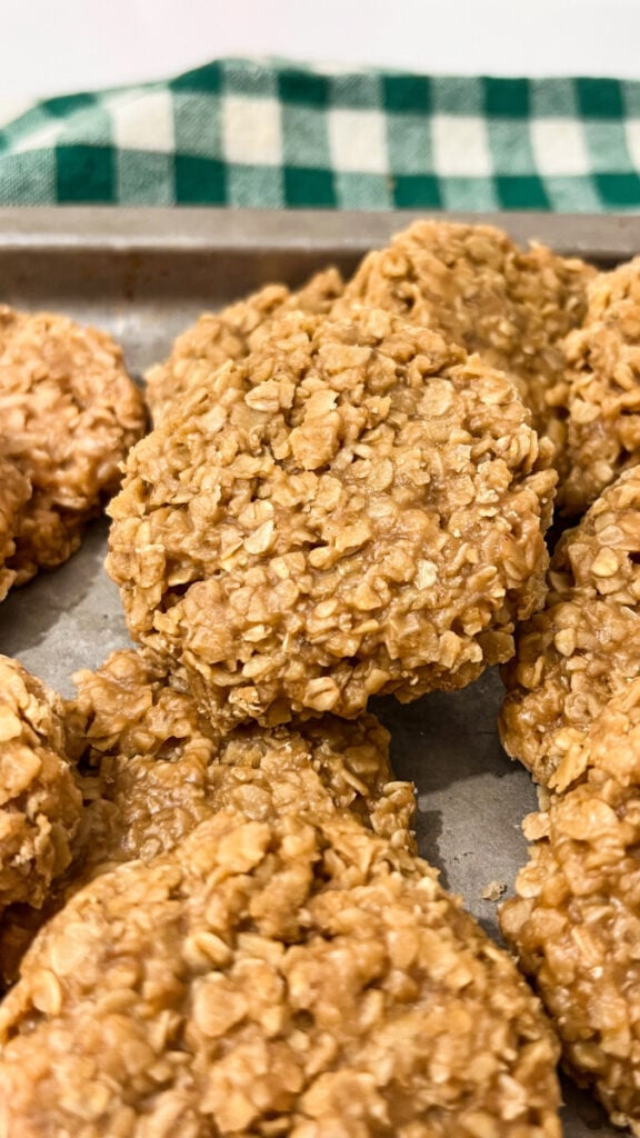  IMG_8346-576x1024 Biscoff Cookie Butter No Bake Cookies  