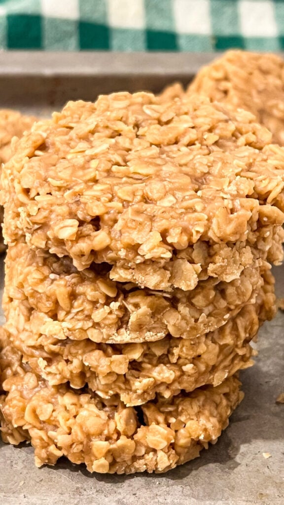  IMG_8352-576x1024 Biscoff Cookie Butter No Bake Cookies  