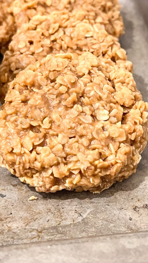  IMG_8355-576x1024 Biscoff Cookie Butter No Bake Cookies  