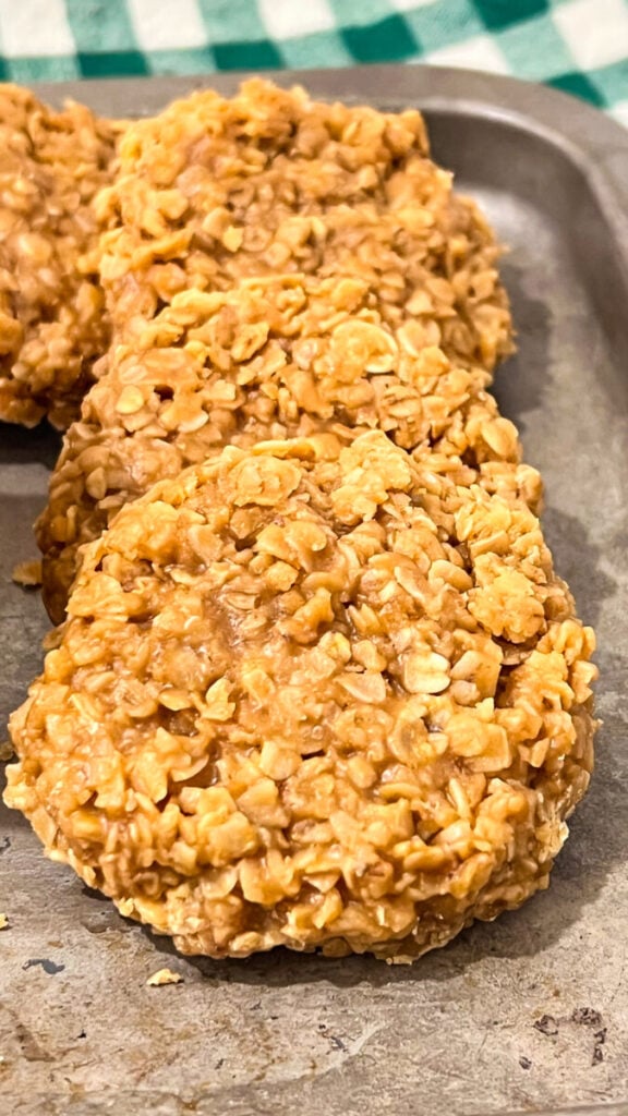  IMG_8357-576x1024 Biscoff Cookie Butter No Bake Cookies  