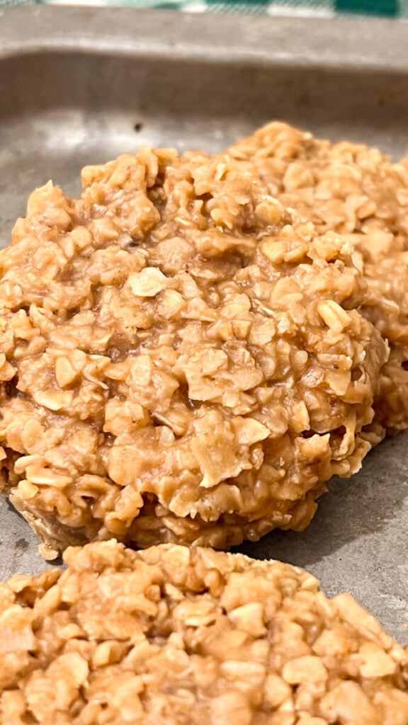  IMG_8360-576x1024 Biscoff Cookie Butter No Bake Cookies  