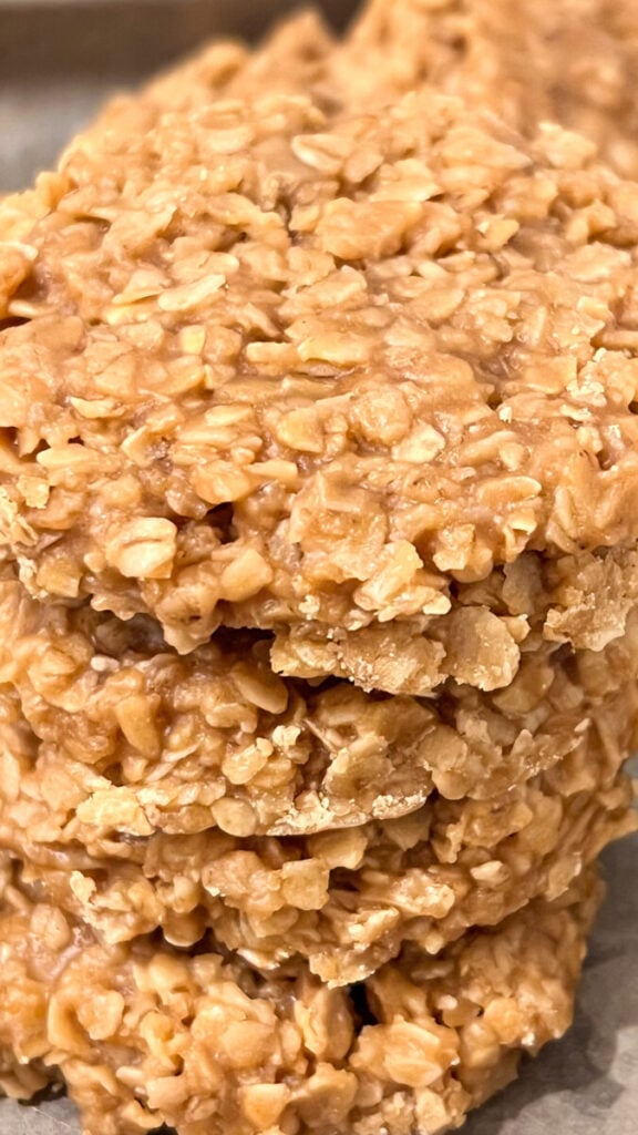 IMG_8361-576x1024 Biscoff Cookie Butter No Bake Cookies  