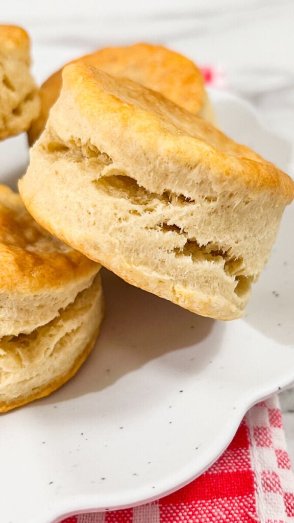  IMG_8982-576x1024 Sourdough Discard Buttermilk Biscuits  