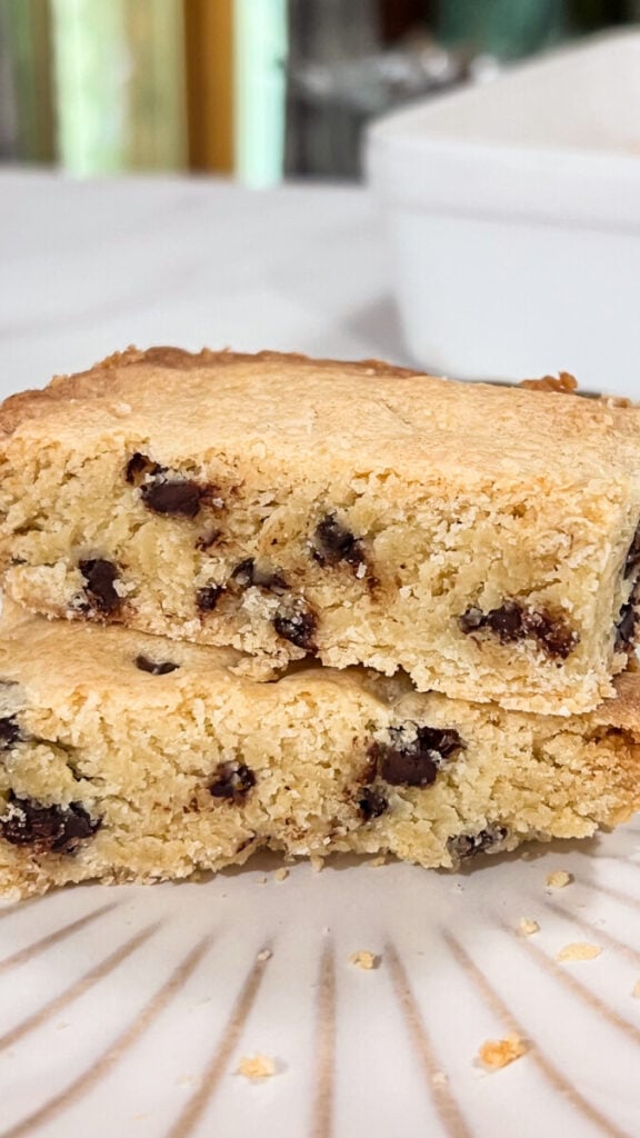  IMG_9184-576x1024 Chocolate Chip Sugar Cookie Bars  