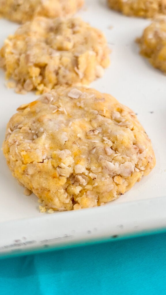  IMG_9246-576x1024 Lemon No Bake Cookies  
