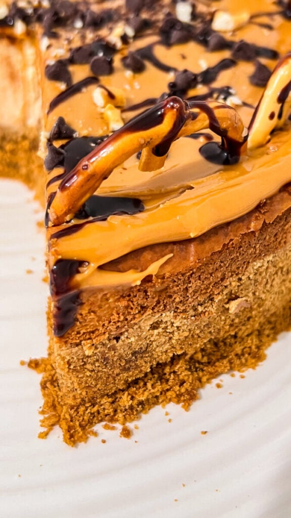 IMG_3307-576x1024 Chocolate Peanut Butter Pretzel Cheesecake