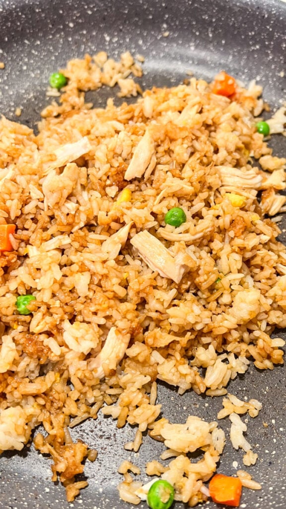 IMG_3967-576x1024 Chicken Fried Rice Recipe