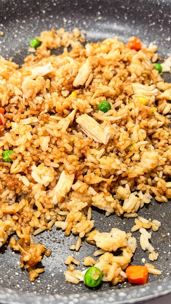 IMG_3968-576x1024 Chicken Fried Rice Recipe