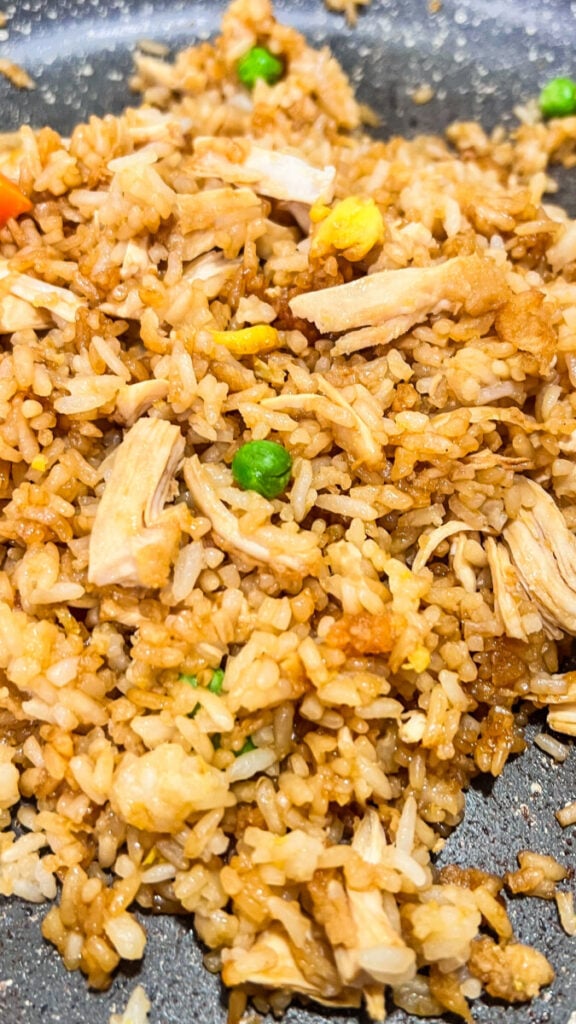 IMG_3986-576x1024 Chicken Fried Rice Recipe