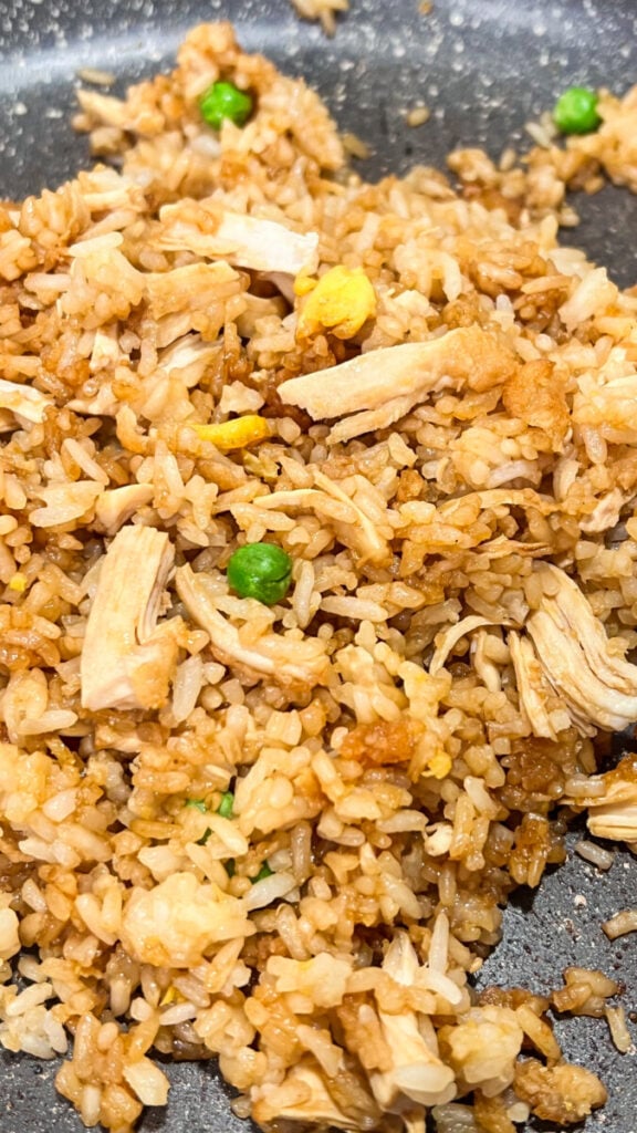 IMG_3988-576x1024 Chicken Fried Rice Recipe