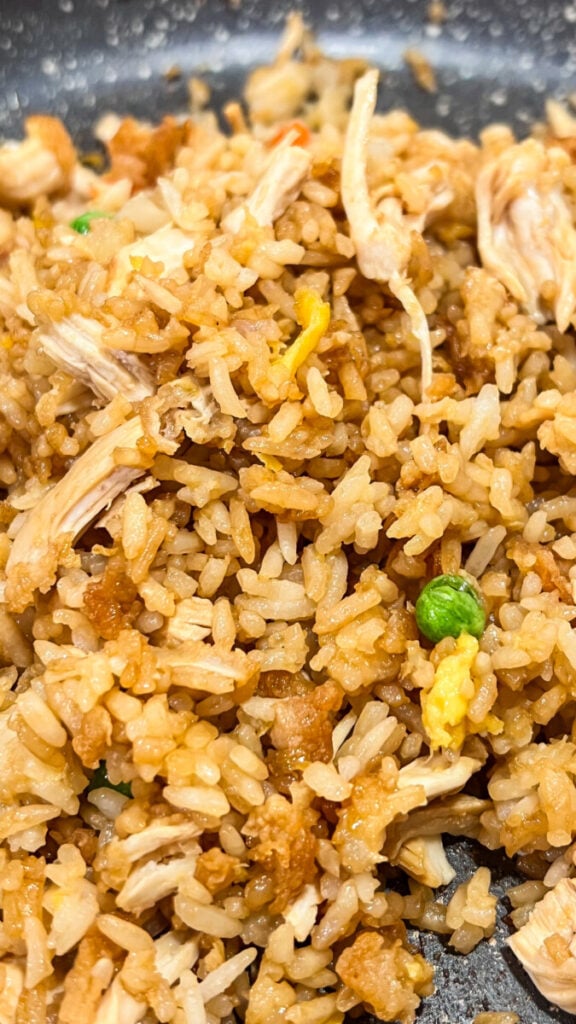 IMG_3993-576x1024 Chicken Fried Rice Recipe