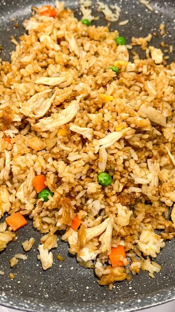 IMG_3994-576x1024 Chicken Fried Rice Recipe