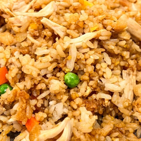  IMG_3996-480x480 Chicken Fried Rice Recipe  