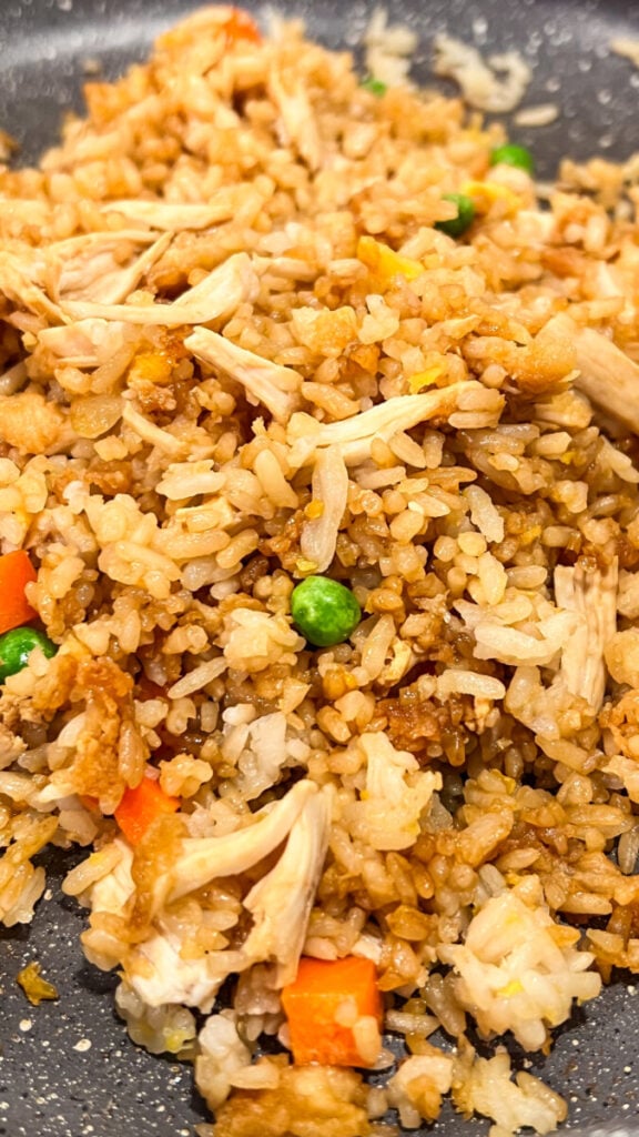 IMG_3996-576x1024 Chicken Fried Rice Recipe