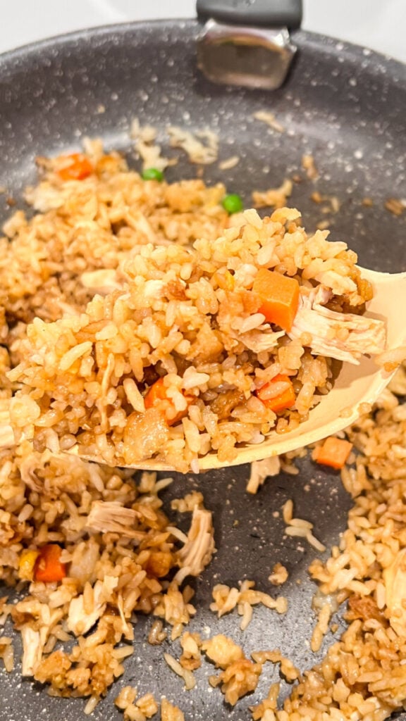 IMG_4001-576x1024 Chicken Fried Rice Recipe