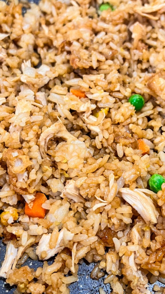 IMG_4006-576x1024 Chicken Fried Rice Recipe