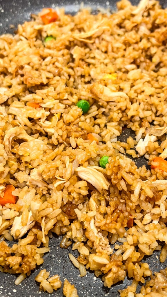 IMG_4007-576x1024 Chicken Fried Rice Recipe