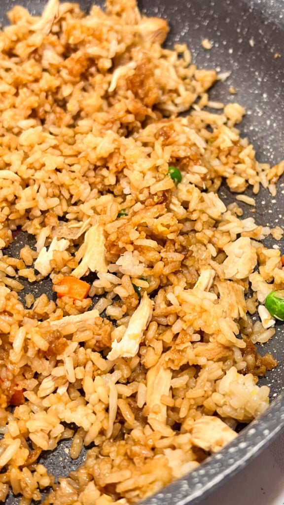 IMG_4008-576x1024 Chicken Fried Rice Recipe