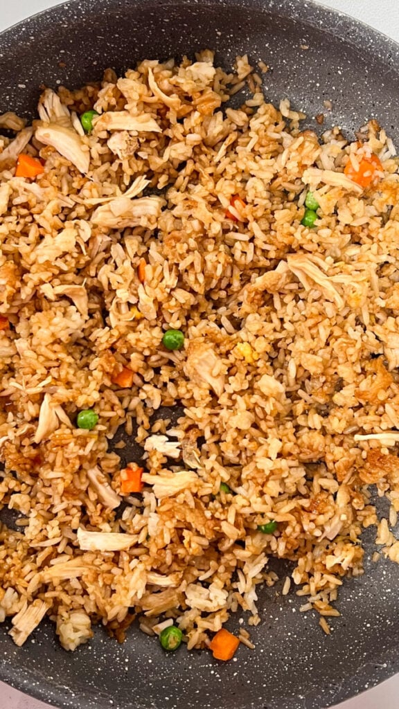 IMG_4012-576x1024 Chicken Fried Rice Recipe