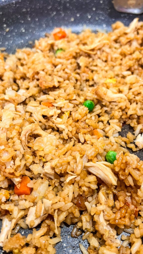 IMG_4021-576x1024 Chicken Fried Rice Recipe