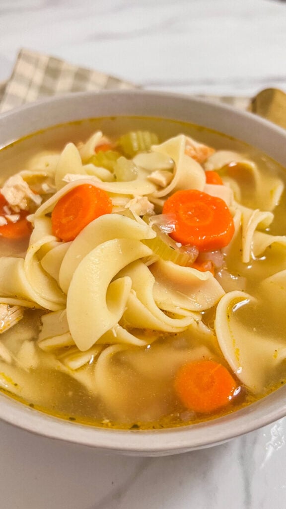  IMG_4436-576x1024 Easy Rotisserie Chicken Noodle Soup  