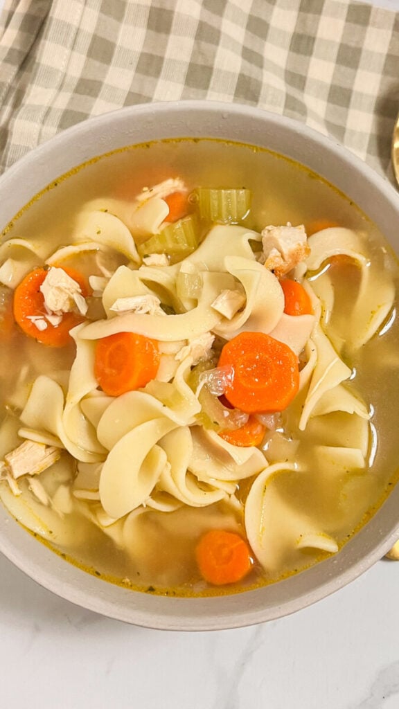  IMG_4441-576x1024 Easy Rotisserie Chicken Noodle Soup  