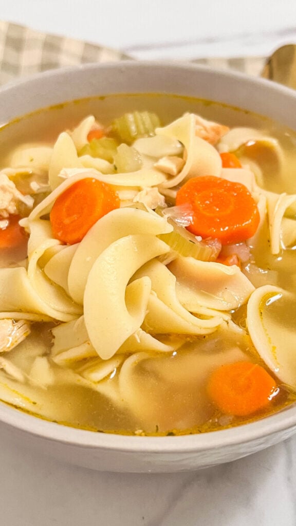  IMG_4447-576x1024 Easy Rotisserie Chicken Noodle Soup  