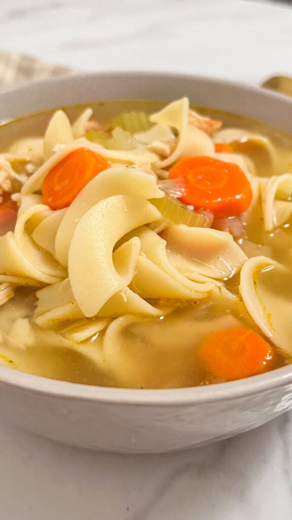  IMG_4449-576x1024 Easy Rotisserie Chicken Noodle Soup  