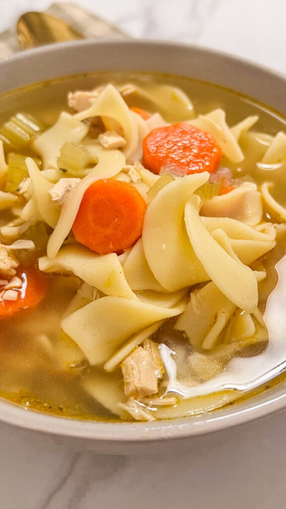  IMG_4454-576x1024 Easy Rotisserie Chicken Noodle Soup  