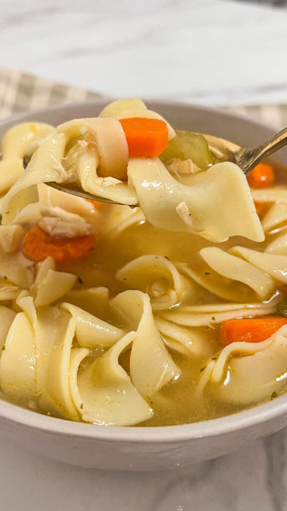  IMG_4464-576x1024 Easy Rotisserie Chicken Noodle Soup  