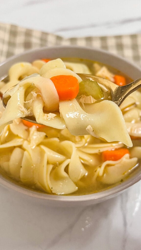  IMG_4465-576x1024 Easy Rotisserie Chicken Noodle Soup  