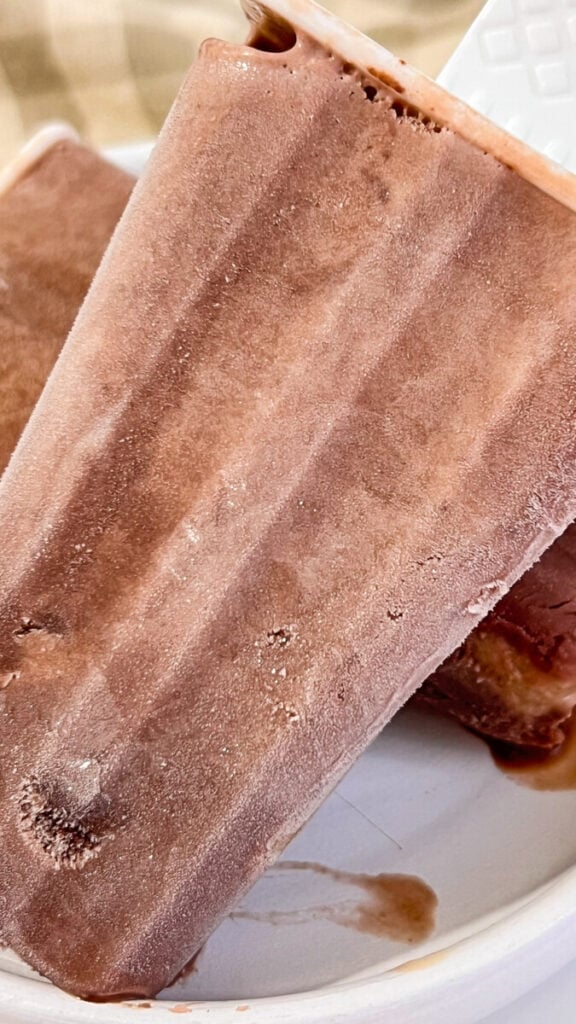  IMG_4499-576x1024 Homemade Fudgesicles  