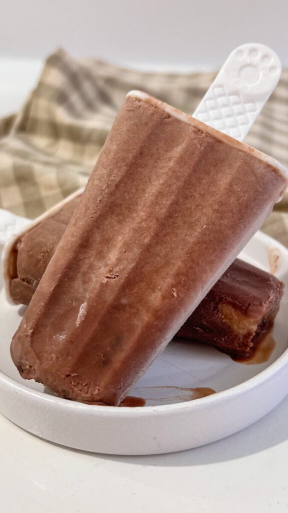  IMG_4506-576x1024 Homemade Fudgesicles  