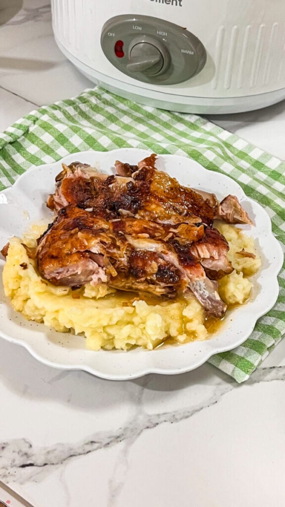 IMG_4926-576x1024 Crock Pot French Onion Baby Back Ribs and Gravy