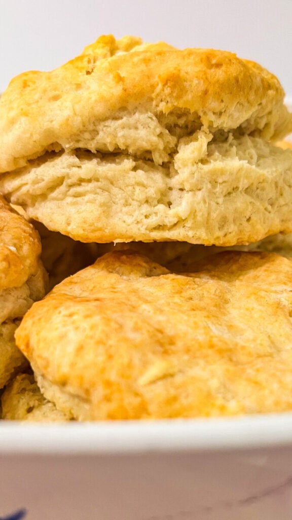  IMG_5404-576x1024 Small Batch Biscuits Recipe  