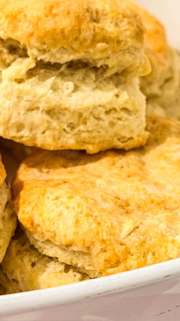  IMG_5426-576x1024 Small Batch Biscuits Recipe  