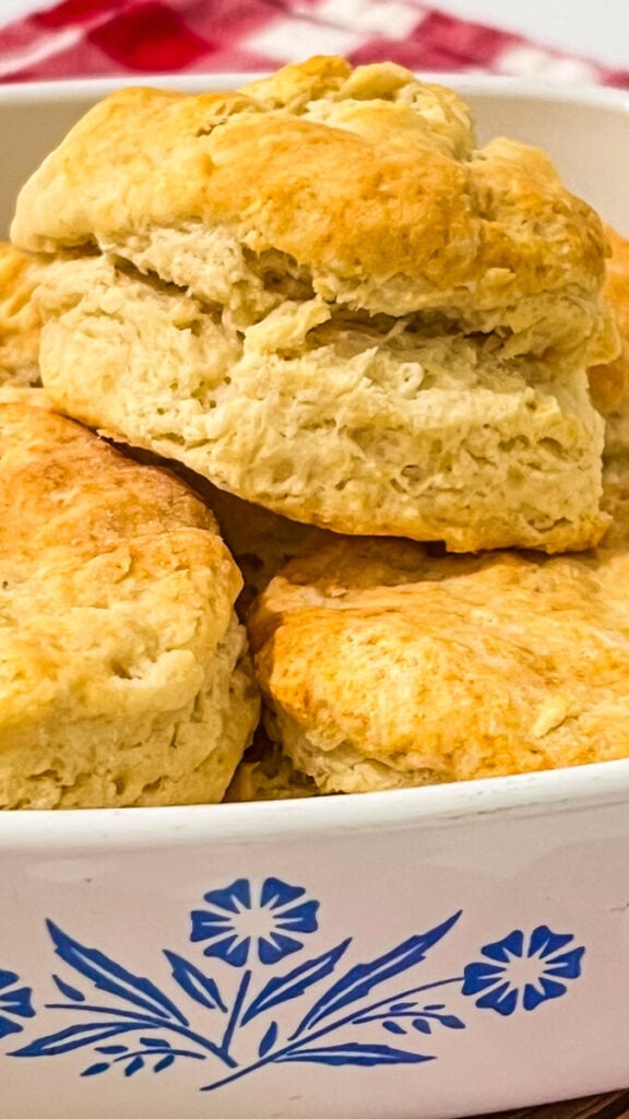  IMG_5428-576x1024 Small Batch Biscuits Recipe  