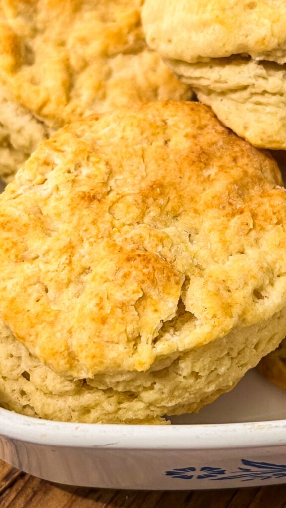  IMG_5430-576x1024 Small Batch Biscuits Recipe  